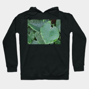 Eve Leaf Hoodie